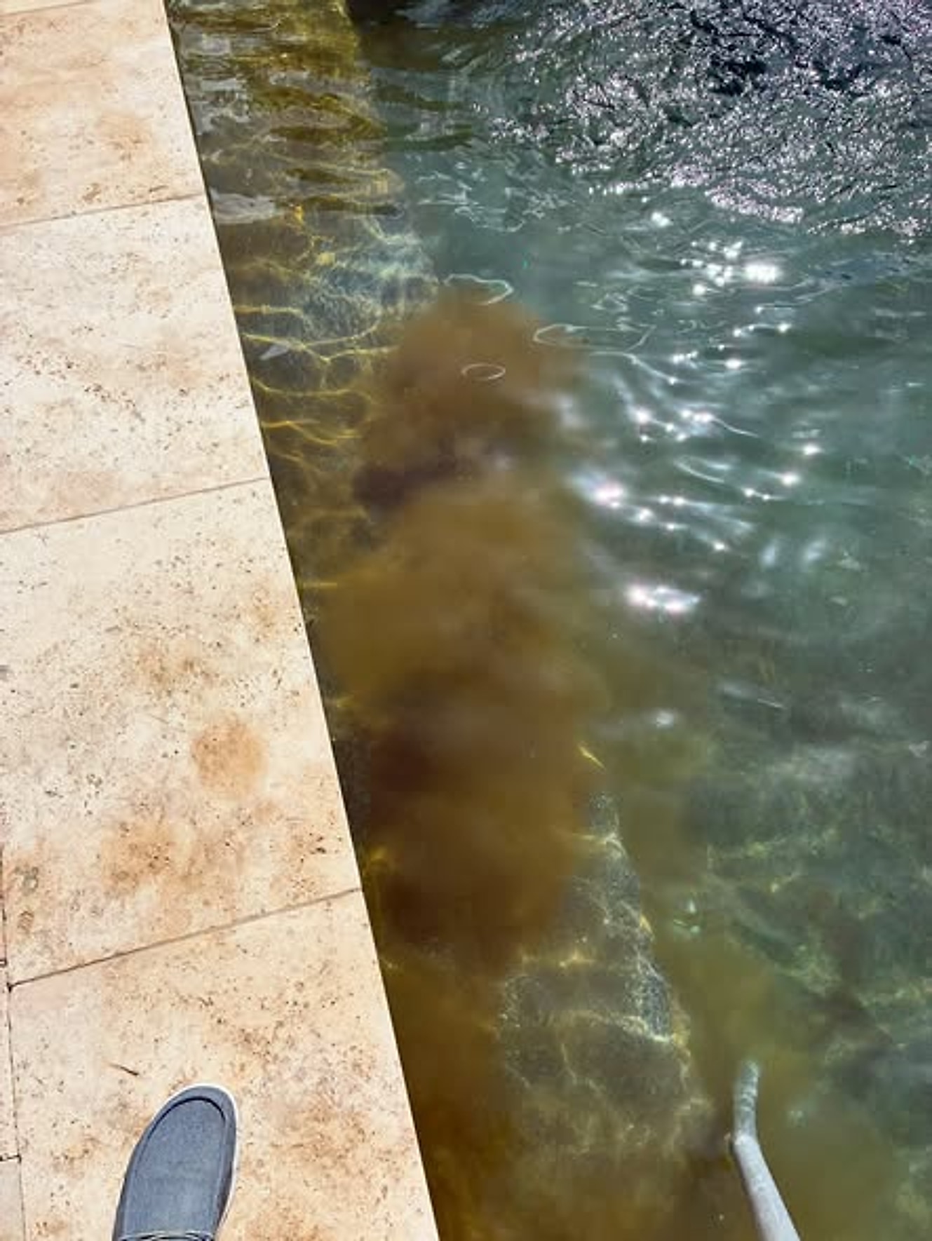 Contaminated pool before cleanup
